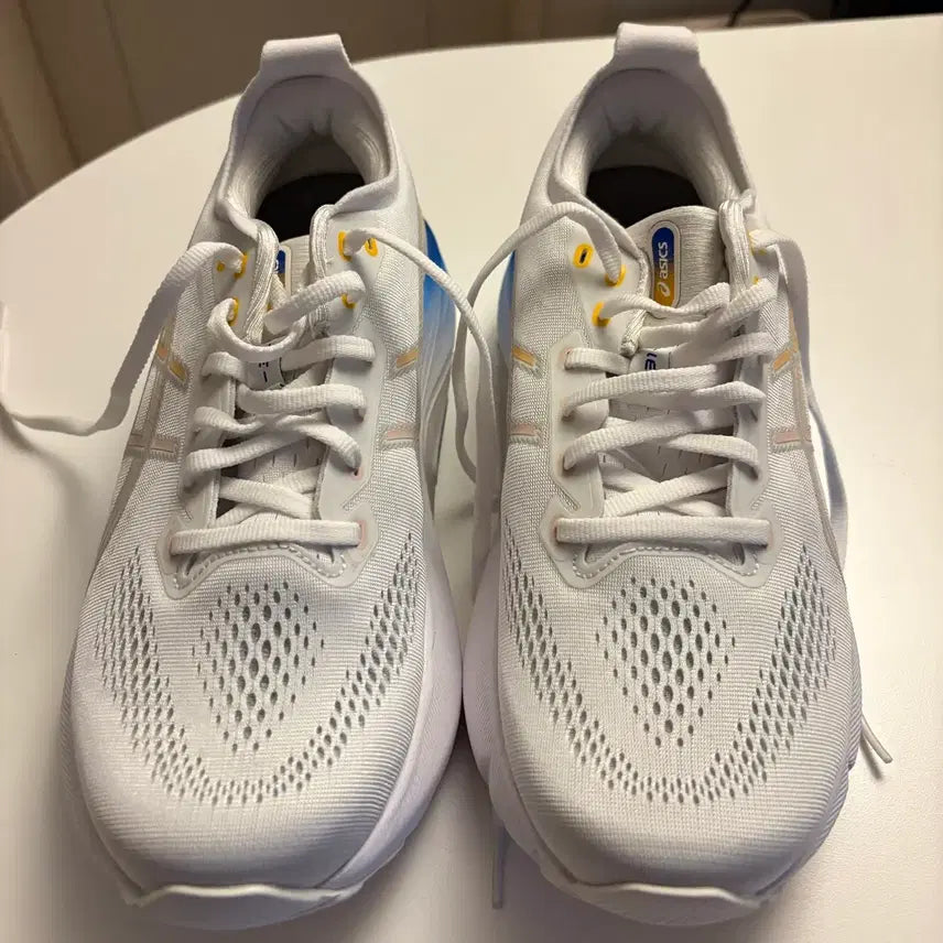 [BUNJANG] Asics Gel Kayano 31 Sneakers / 아식스 젤카야노 31 265 새상품