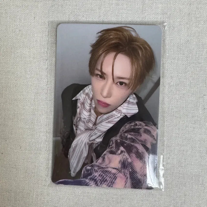[BUNJANG] AlphaDriveOne Arno Ellemen Group Photocard / 알파드라이브원 아르노 엘르맨 단체버전 포카 양도