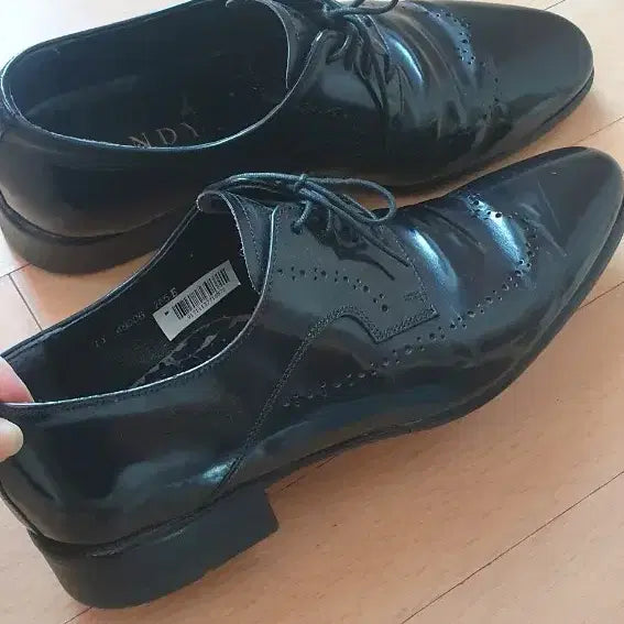 [SOLD OUT] 텐디 남성  가죽구두  265