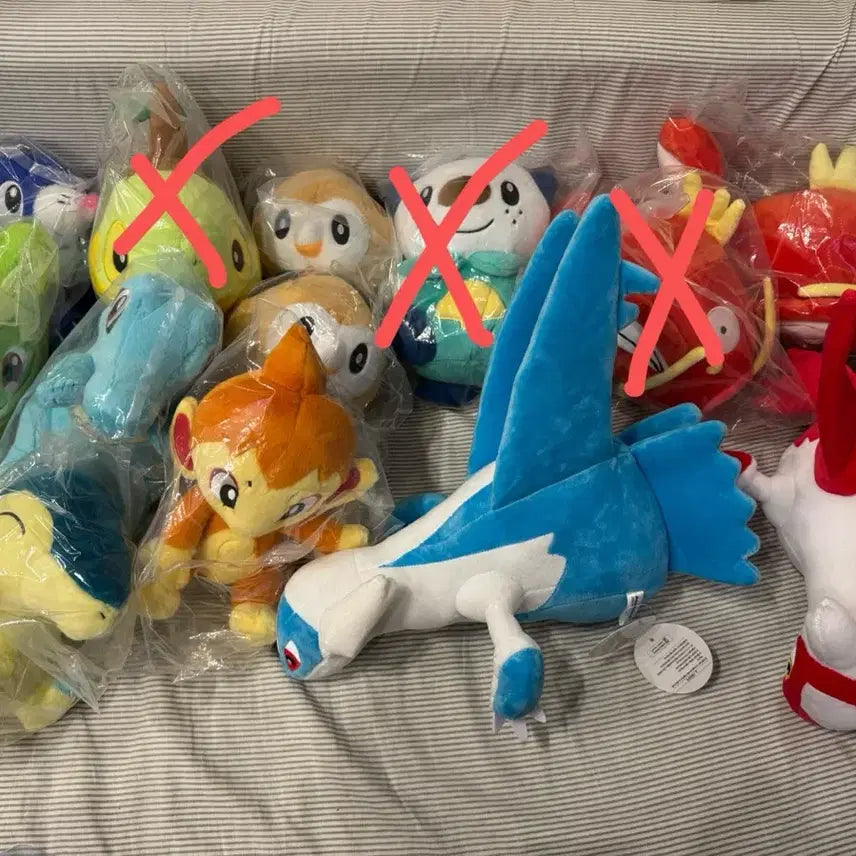 [BUNJANG] Pokemon Plush Doll Collection (Sealed) / 포켓몬 인형 모음 (미개봉 다수)