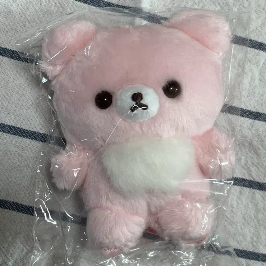 [SOLD OUT] (새상품) 코구마 10주년 핑크코구마