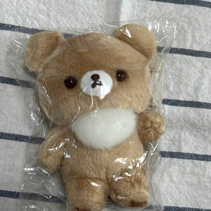 [SOLD OUT] (새상품) 10주년 코구마 기본