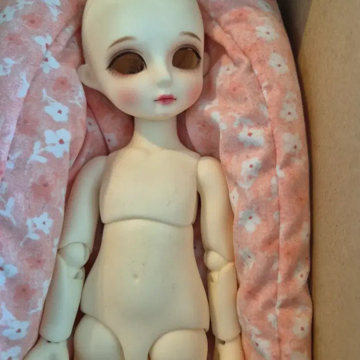 [BUNJANG] Seiren USD Berry Doll / 세이렌 usd정품베리