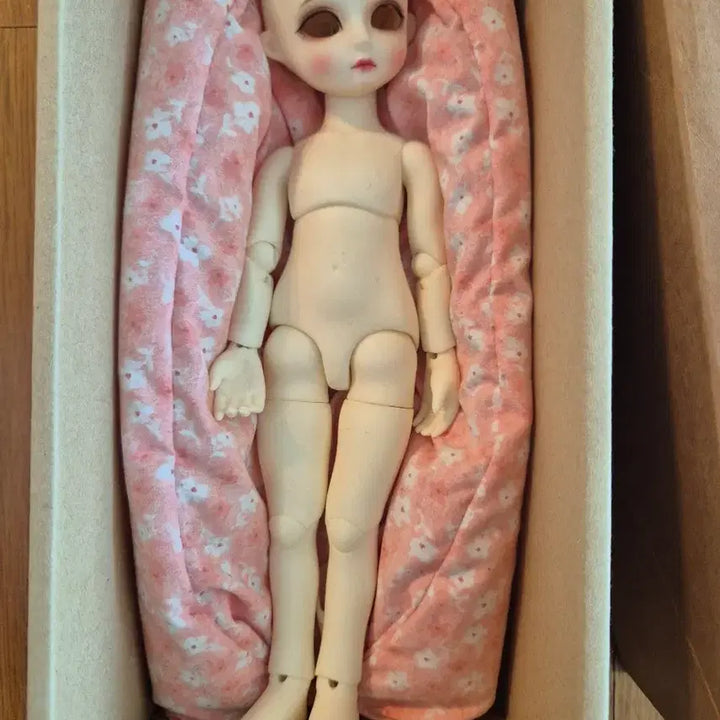 [BUNJANG] Seiren USD Berry Doll / 세이렌 usd정품베리