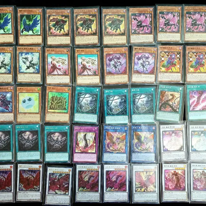 [BUNJANG] Yu-Gi-Oh! Black Rose Dragon Card / 유희왕 블랙 로즈 드래곤 소스