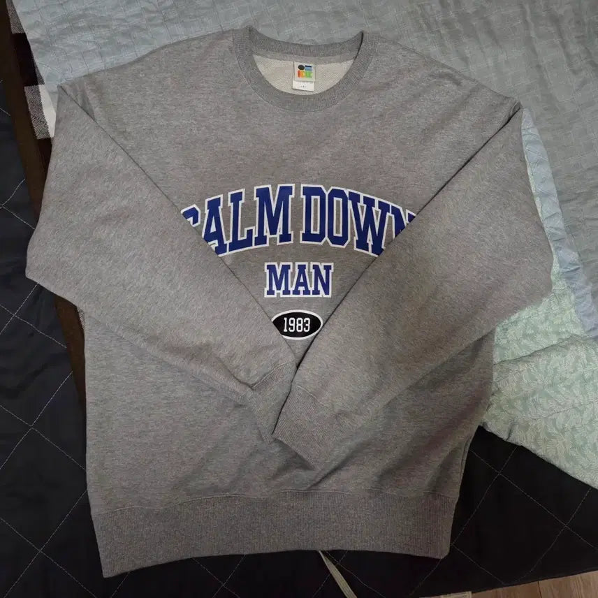 [BUNJANG] Chimpchamp Sweatshirt Size 1 / 새상품) 침착맨 맨투맨 1사이즈