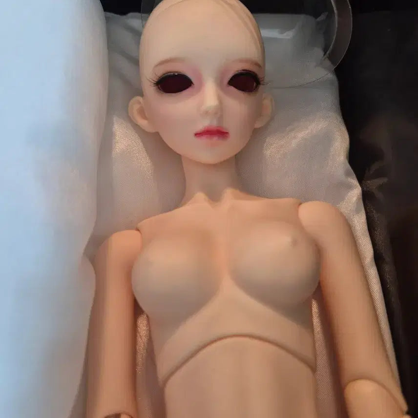 [BUNJANG] Dreaming Doll Ball-Jointed Doll Full Set / Dreaming Doll 구체관절인형 풀세트