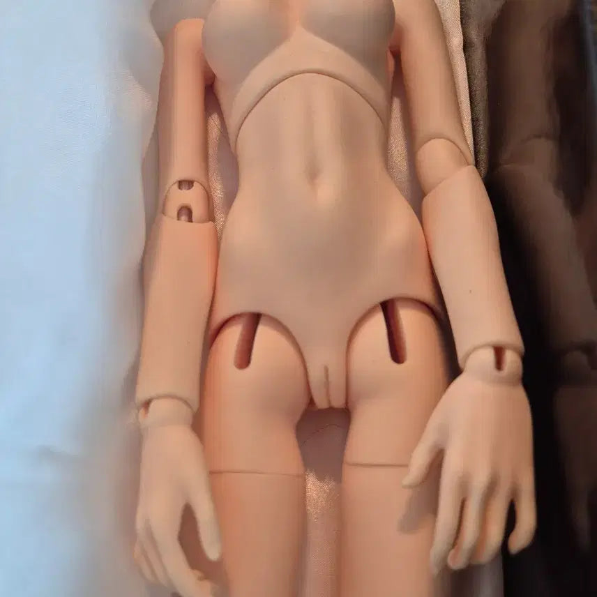 [BUNJANG] Dreaming Doll Ball-Jointed Doll Full Set / Dreaming Doll 구체관절인형 풀세트