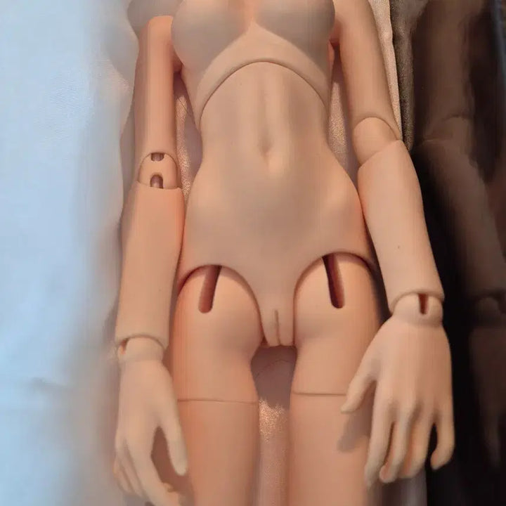 [BUNJANG] Dreaming Doll Ball-Jointed Doll Full Set / Dreaming Doll 구체관절인형 풀세트