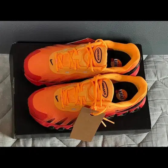 [BUNJANG] Nike Air Max DN8 Orange / 나이키 에어맥스 DN8 오렌지 (사이즈 260/265/270)