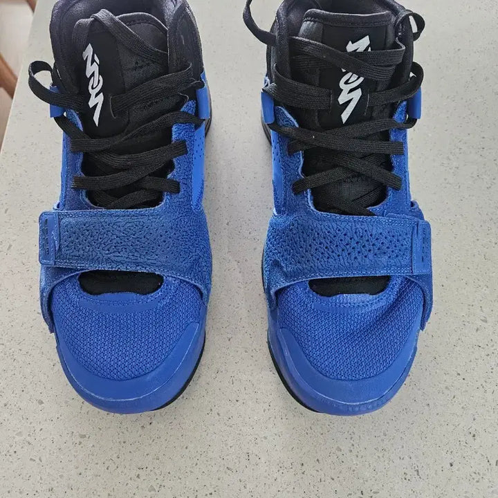 [BUNJANG] Nike Zion 2 PF Basketball Shoes Blue Size 275 / 나이키 자이언2 PF 블루 275 사이즈