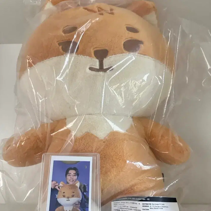 [SOLD OUT] [BUNJANG] DAY6 Giant Ppeti Merch Set / (미개봉 폴라 포함) 데이식스 자이언트 쁘띠멀즈 자쁘멀 케