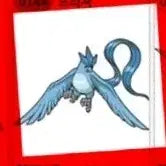 [BUNJANG] Pokemon 30th Anniversary Panini Sticker - Articuno (144) / 포켓몬 띠부씰 30주년 144 프리져