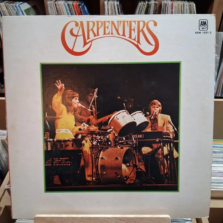 [BUNJANG] The Carpenters Double LP Vinyl Record / 소장가치 카펜터스 Carpenters 더블 LP
