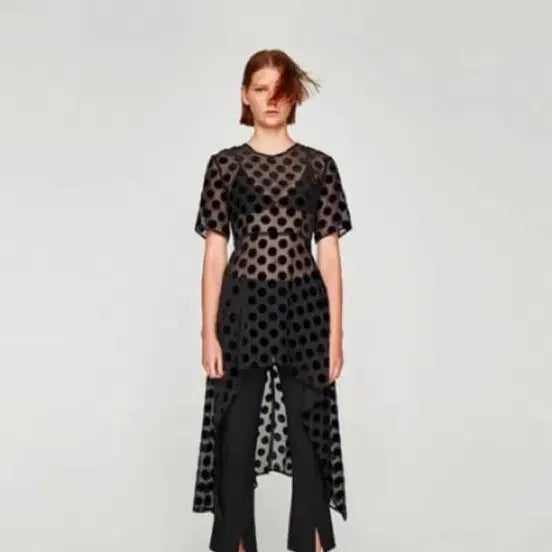 [BUNJANG] ZARA Sheer Velvet Dot Blouse/Dress Size S / 자라 / 블라우스겸 원피스 새제품