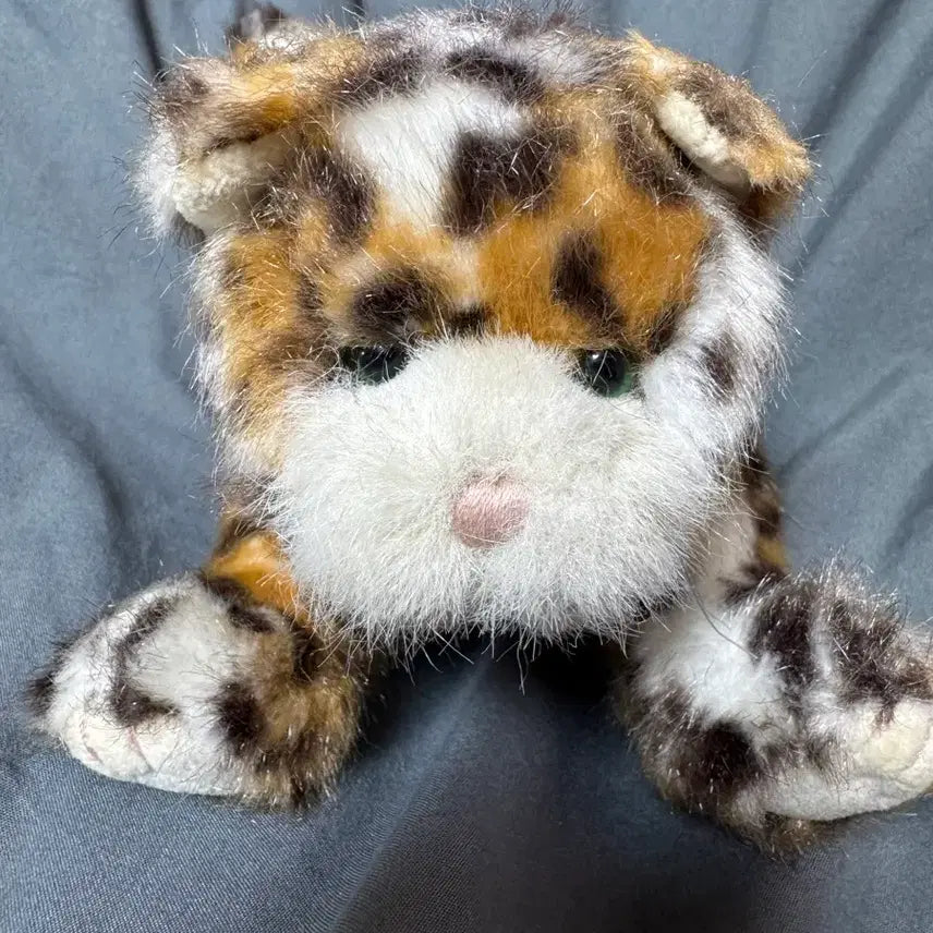 [BUNJANG] Boyds Bear Limited Edition Tiger Cat Plush / 보이즈베어 리미티드에디션 호랑이 고양이