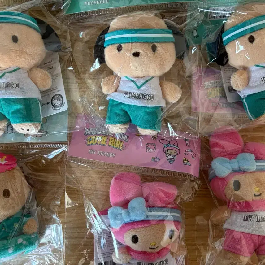 [BUNJANG] Sanrio Pochacco Mascot Charm (Sealed) / 포차코 인형 키링 미개봉 판매합니다