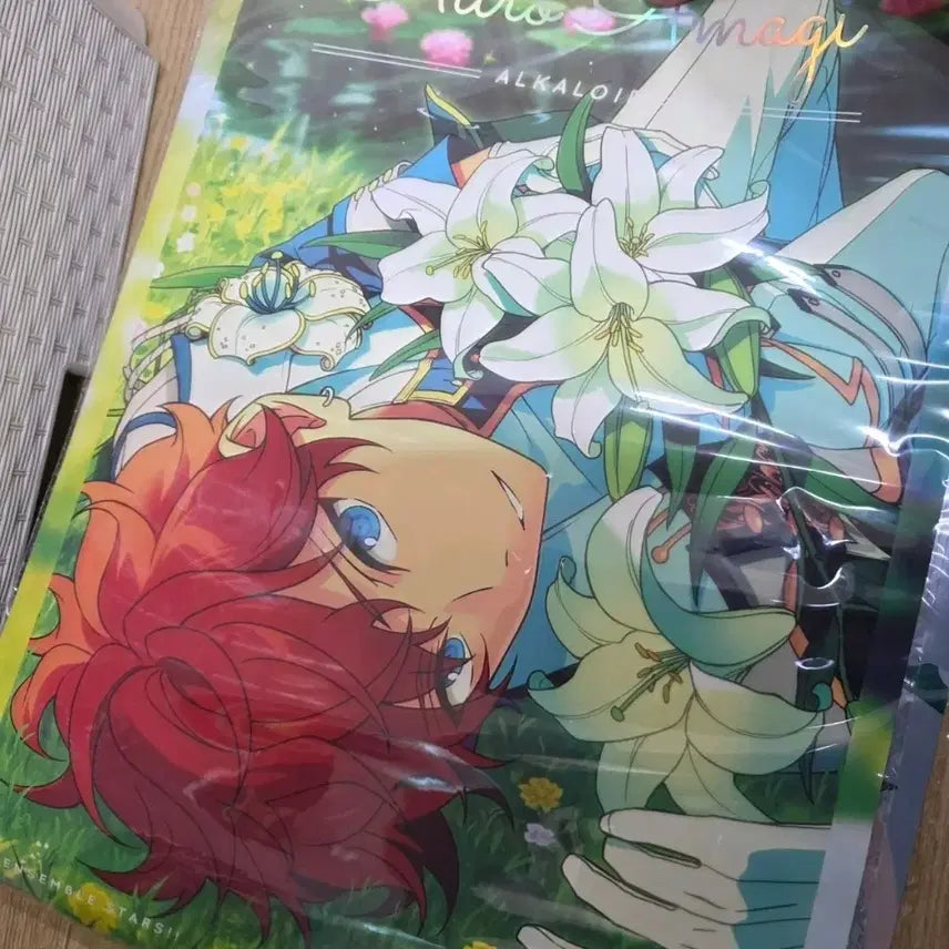 [BUNJANG] Ensemble Stars! Hiirro Chinese Exclusive Poster White Lily / 앙스타 히이로 중스타 중국 한정 포스터 화이트릴리