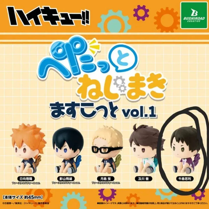 [BUNJANG] Haikyuu!! Petatto 1st Edition Ushijima Wakatoshi (Sealed) / 하이큐 페탓토 1탄 (우시지마 와카토시)  미개봉