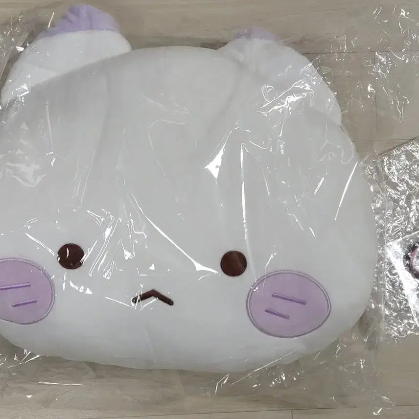 [BUNJANG] Scolicism Winter Popup Zip Talk Cushion Auto / 스코시즘 겨울팝업 짚톡쿠션 오토