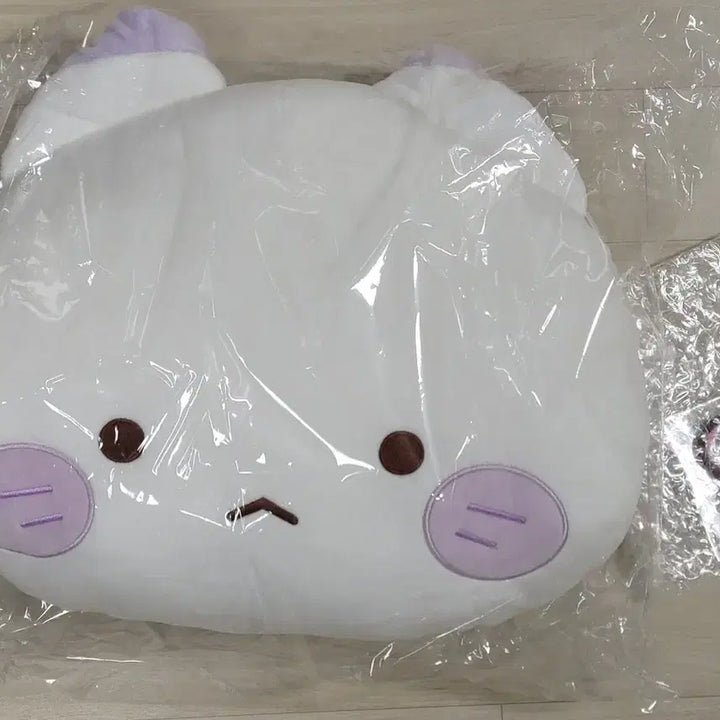 [BUNJANG] Scolicism Winter Popup Zip Talk Cushion Auto / 스코시즘 겨울팝업 짚톡쿠션 오토