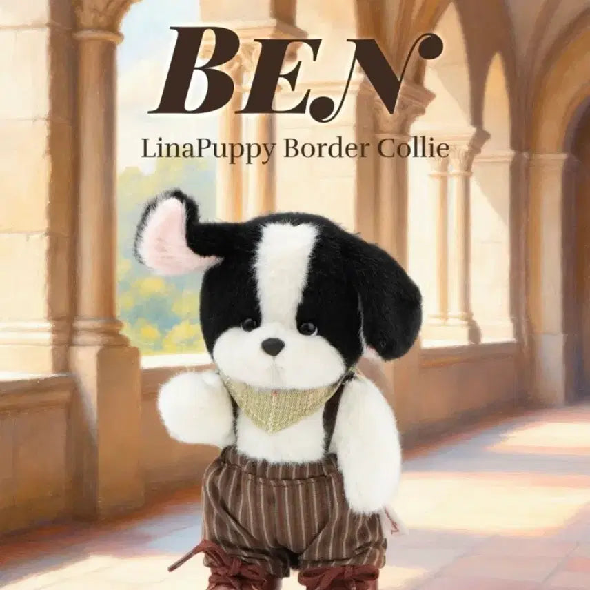 [BUNJANG] Teddy Tales Doggie Squad Ben (Border Collie) Plush Doll / 테디테일즈 도기스쿼드 벤(보더콜리)