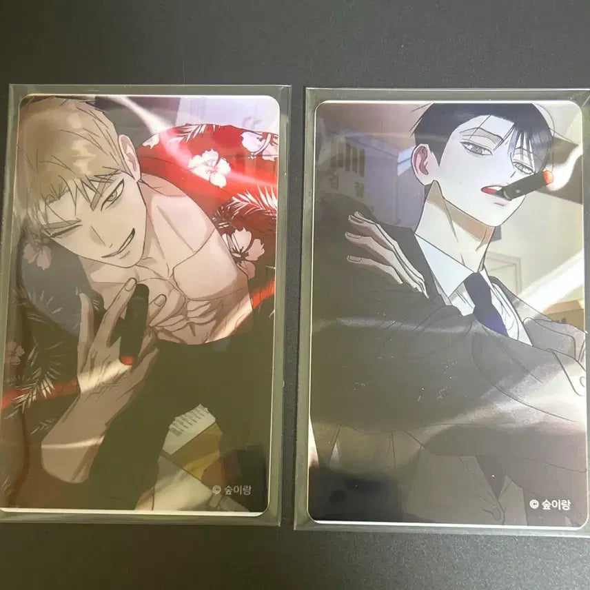 [BUNJANG] Hongsil Quest Photobook Limited Photocard Bundle Set + Extras / 홍실퀘스트 프박 한정 포카 일괄 + 덤