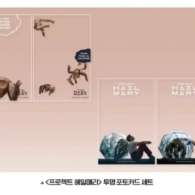 [SOLD OUT] 프로젝트 헤일메리 7주차 특전 포토카드