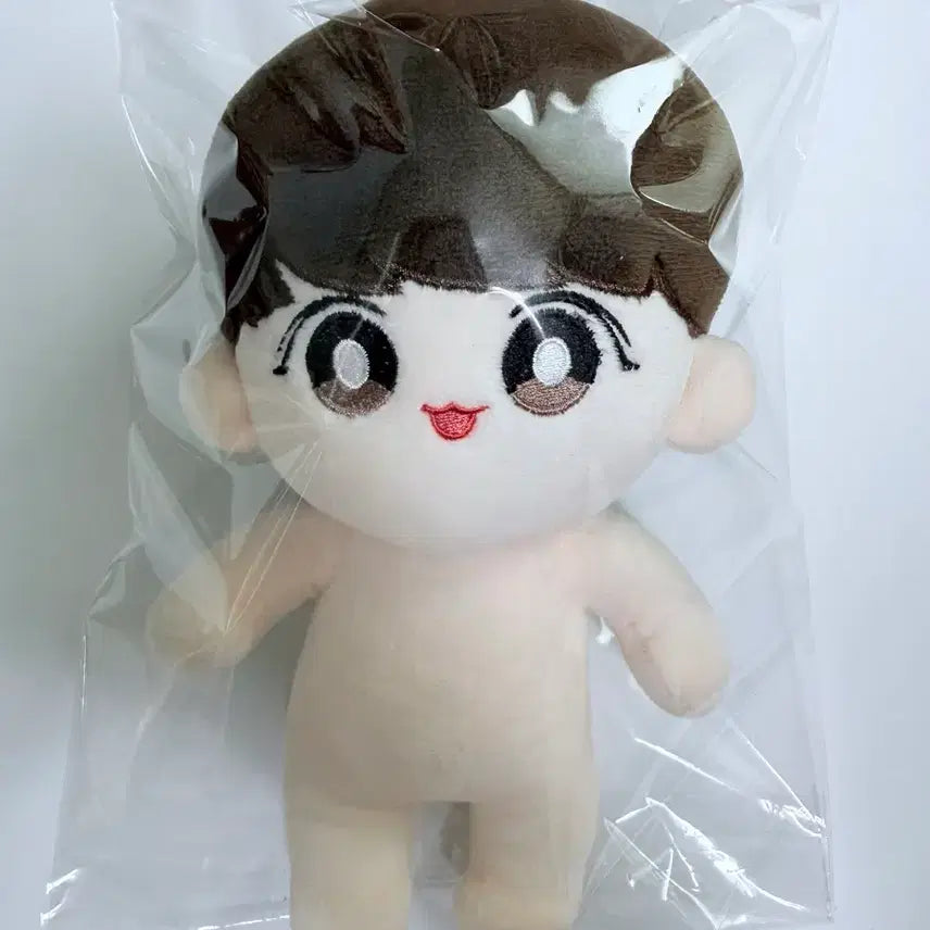 [BUNJANG] BTS Jungkook Doll / 방탄소년단 정국 인형