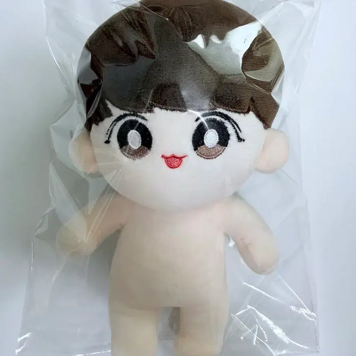 [BUNJANG] BTS Jungkook Doll / 방탄소년단 정국 인형