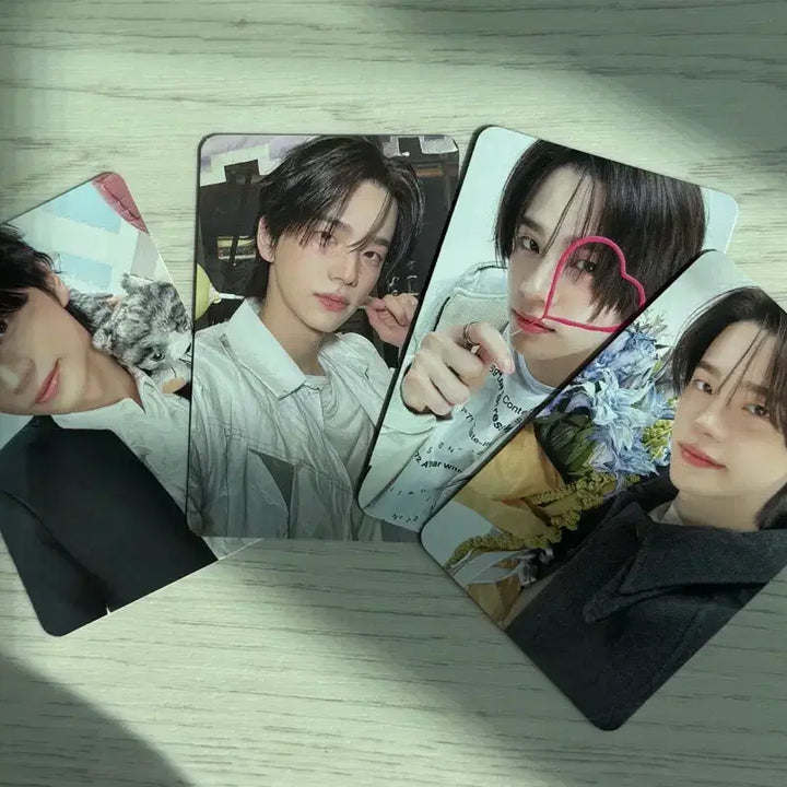 [BUNJANG] Shin Yu No Tragedy Standard Version Photocard Full Set / 신유 포토카드 no tragedy 일반반 포카 풀세트