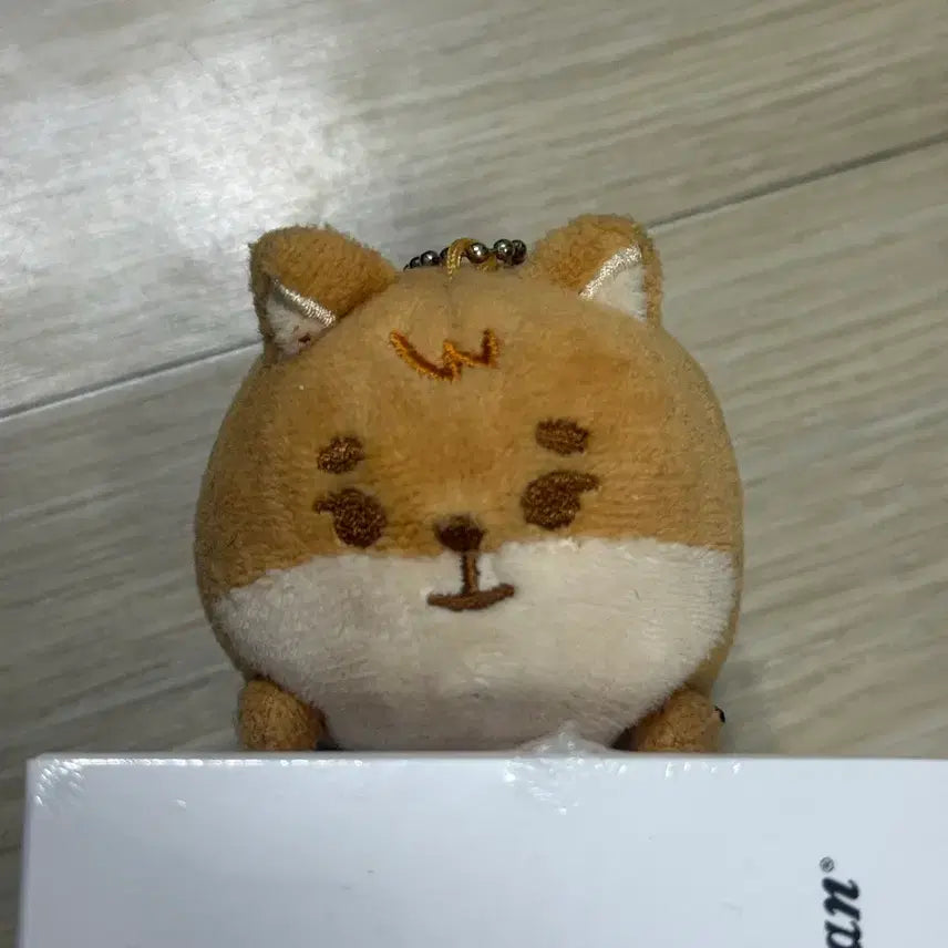 [BUNJANG] Day6 2021 Sajo-bohaeng Petitmulz Doll / 데이식스 2021 사족보행 쁘띠멀즈 케