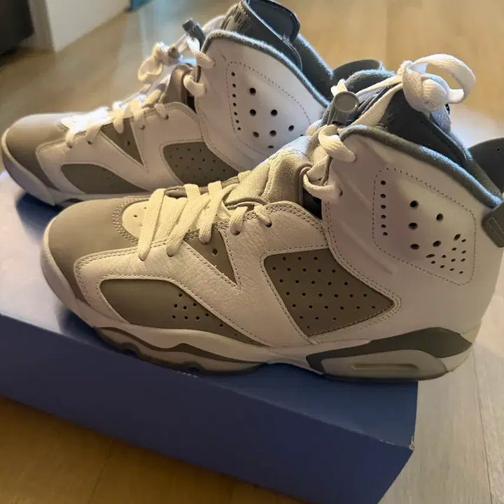 [BUNJANG] Nike Air Jordan 6 Retro White/Grey Basketball Shoes / 나이키 에어 조던 6 레트로 화이트/그레이