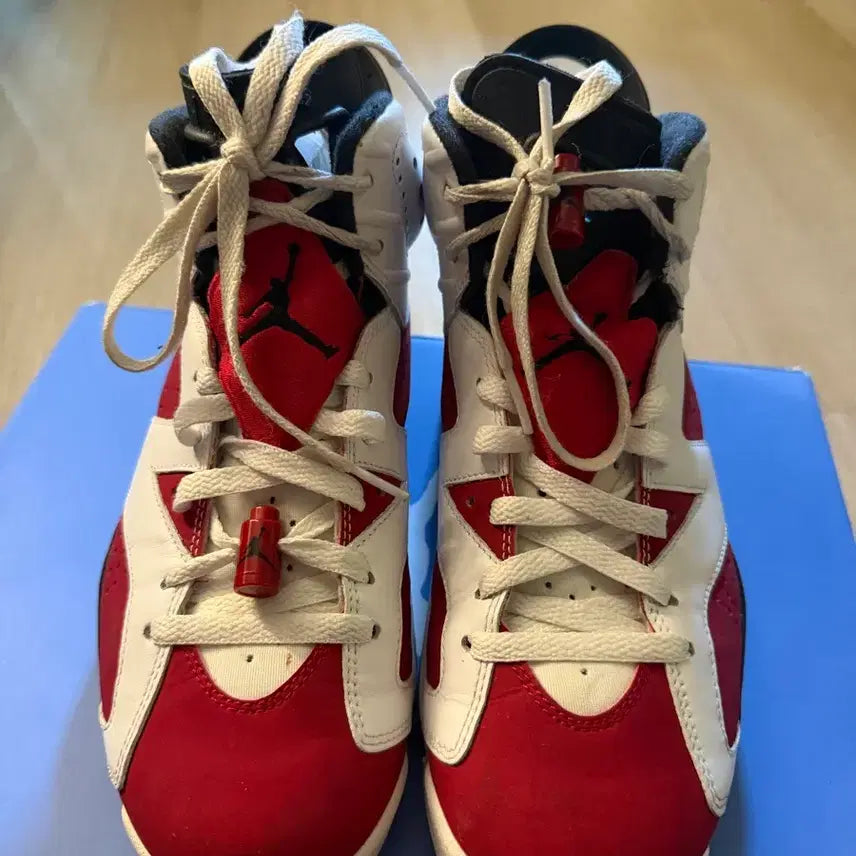 [BUNJANG] Nike Air Jordan 6 Carmine Sneakers / 나이키 에어 조던 6 카마인