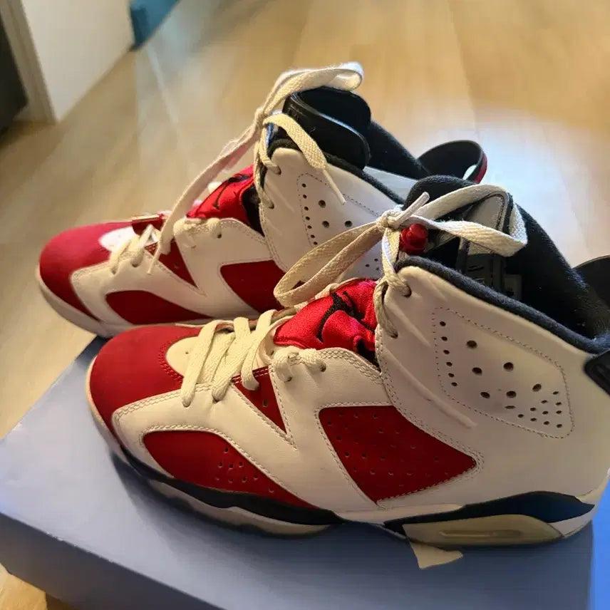 [BUNJANG] Nike Air Jordan 6 Carmine Sneakers / 나이키 에어 조던 6 카마인