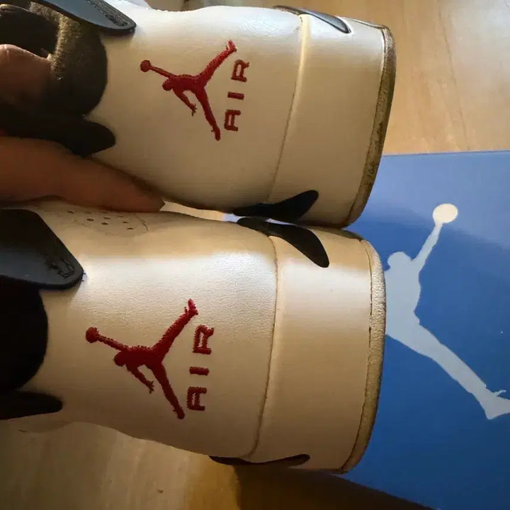 [BUNJANG] Nike Air Jordan 6 Carmine Sneakers / 나이키 에어 조던 6 카마인