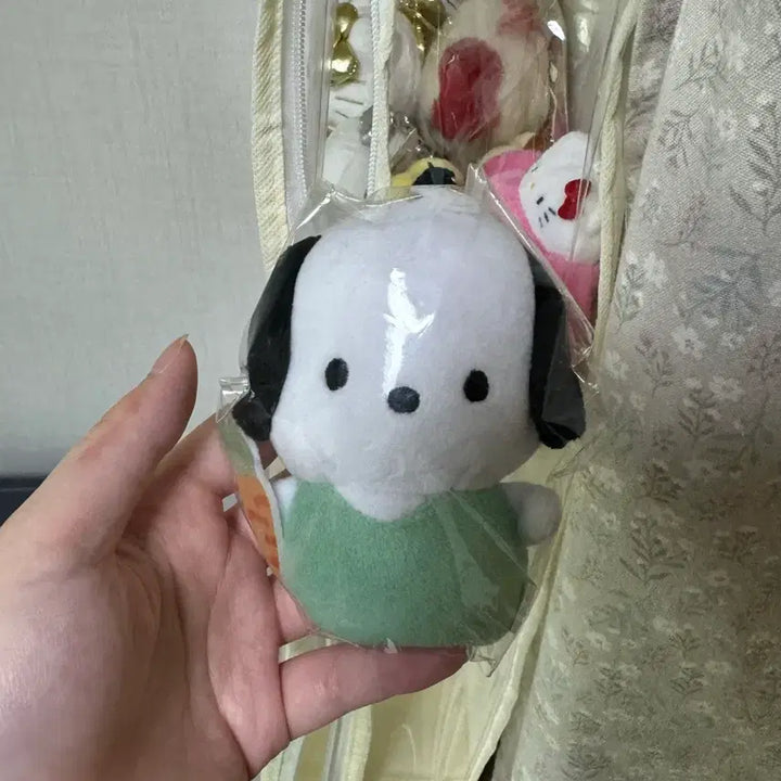 [BUNJANG] Sanrio Pochacco 2022 Plush Doll / 포차코 인형 판매 2022년