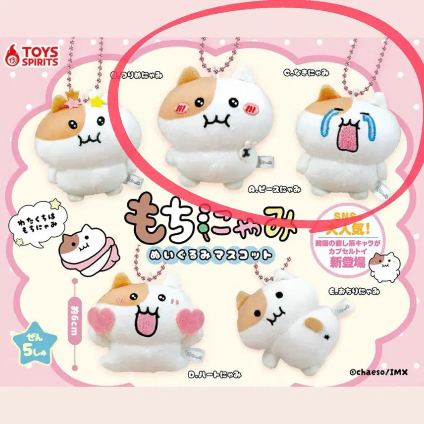 [BUNJANG] Jjonnyami Nuiigurumi Keyring Gacha Set (2 Types) / (국내미출시) 쫀냐미 누이구루미 키링 가챠 2탄 2종 일괄