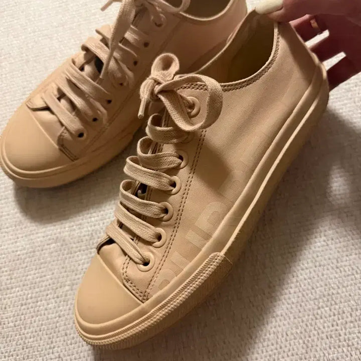 [BUNJANG] Burberry Logo Print Canvas Sneakers Beige / 버버리 베이지 로고 프린트 캔버스 스니커즈