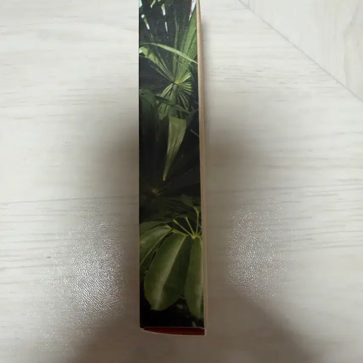 [BUNJANG] Glowier.com Balm Coconut 15ml Lip Balm / 글로시에 립밤 닷컴 밤 15ml 코코넛 새상품