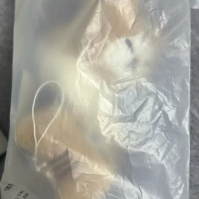 [BUNJANG] Stray Kids Lee Know Sundungdori Keyring Set with Photocard / 스트레이키즈 리노 순둥도리 키링 세트 포카 포함