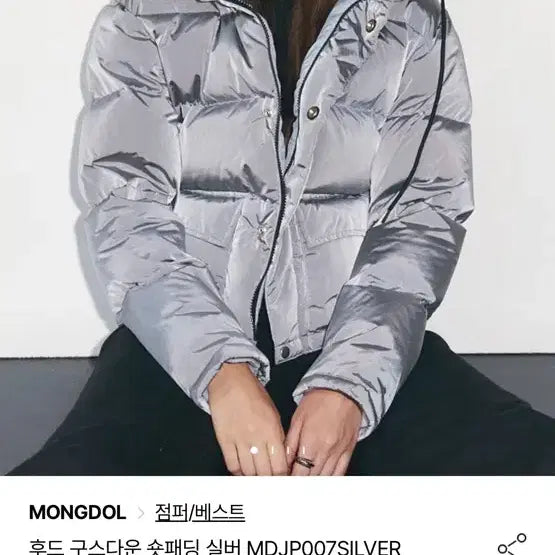 [BUNJANG] Long Padding Hooded Goose Down Short Puffer Jacket Silver / 몽돌 후드 구스다운 숏 패딩 실버