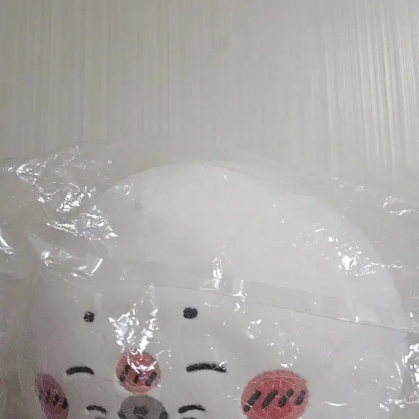 [BUNJANG] Nagano Aquarium Half Seal Prize B Item / 나가노 수족관 하프물범 쿠지 B상