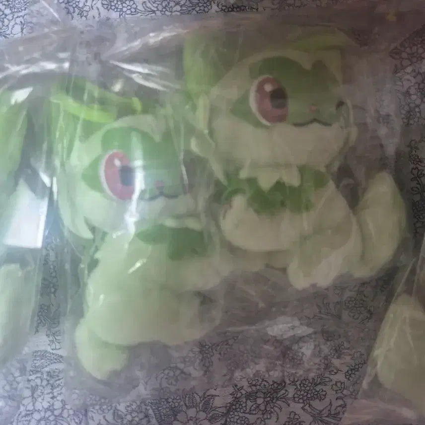[BUNJANG] Pokemon - Smoliv Plush Charm / 포켓몬스터 나오하 인형 고리
