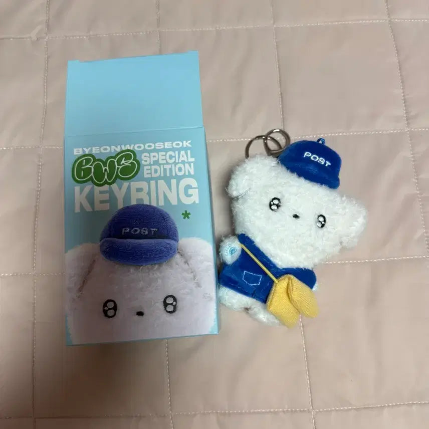[BUNJANG] Byeon Woo Seok BWS Daengtongi Doll Keychain / 변우석 인형 키링 BWS 댕통이
