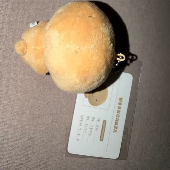 [BUNJANG] BOYNEXTDOOR Woonhak 10cm Doll with Adoption Certificate / 주말만 세일 보이넥스트도어 운학 운감자 10CM + 입양증