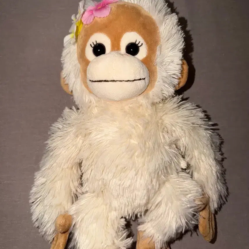 [BUNJANG] Coco &amp; Nuts Medium Plush Doll (Monkey) / 주말만 이가격 베이비 코코앤너츠 코코앤나츠 너츠 중형 인형 갸루 원숭이