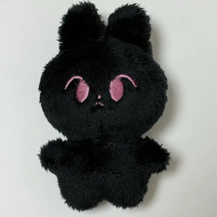 [BUNJANG] NCT 127 Doyoung Kkamto Doll / 엔시티 nct127 도영 인형 깜또 양도