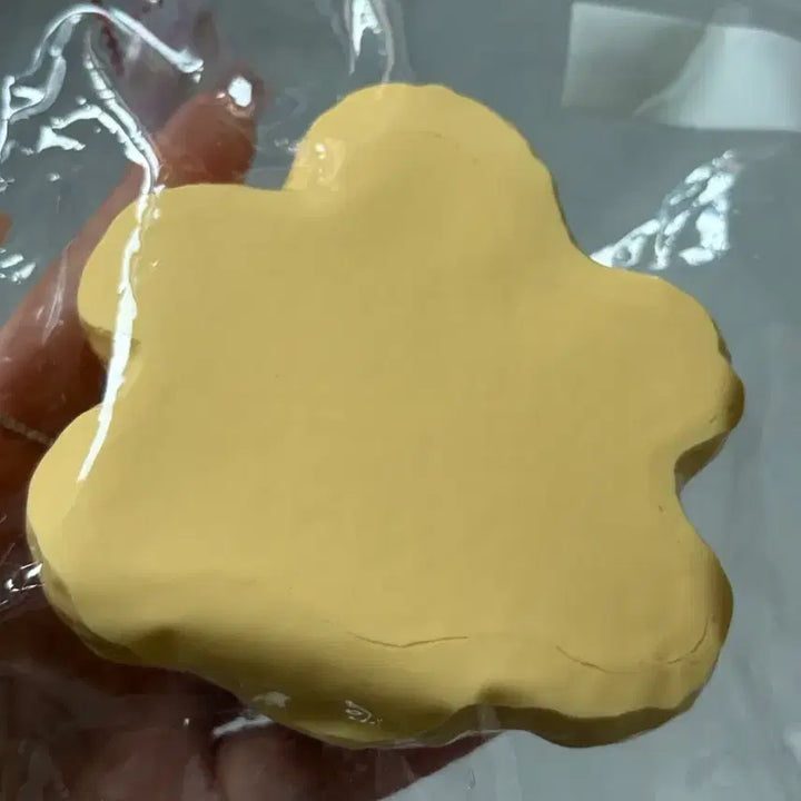 [BUNJANG] Julala Pudding Turtle Limited Edition Squishy / 주라라 julala 푸딩 거북이 한정판 말랑이