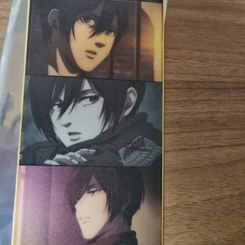 [BUNJANG] Attack on Titan Mikasa Ackerman Standing Shikishi / 진격의 거인 미카사 스탠딩 색지